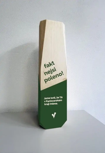 Cena pro studenty Karlovarského kraje, jejímž autorem je zakladatel značky REZ design Petr Köhler.